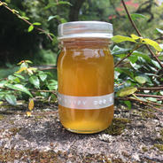 日本蜜蜂のはちみつ ギフト 生蜂蜜 the gift | はちみつ/はちみつ 産直