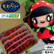 クール便】一箱 家庭用 【小粒・小粒B品】いろいろなサイズ