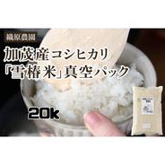無農薬米新潟県産コシヒカリ10k ｜ 米・穀物/米/精米 産直アウル 農家