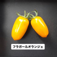フラガールオランジェ　2kg 箱込み2kg 果物や野菜などのお取り寄せ宅配食材通販産地直送アウル