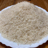 6周年限定】もち米 令和7年 愛媛県産モチミノリ5kg ｜ 米・穀物/もち米