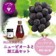 P-JN　花笑み農園　ピオーネと加工品セット（ピオーネジャム＆飲む酢） ピオーネ1房＋3本セット（ジャム、飲む酢　各1本） 果物や野菜などのお取り寄せ宅配食材通販産地直送アウル
