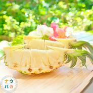 赤グァバ（1.5kg） ｜ 果物/その他果物 産直アウル 農家・漁師など生産