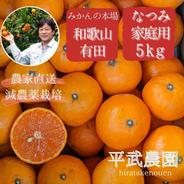 農家直送！なつみオレンジ家庭用5kg　平武農園　和歌山　有田　田口　こだわり栽培 なつみオレンジ家庭用5kg 果物や野菜などのお取り寄せ宅配食材通販産地直送アウル