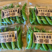 スナップエンドウ120g×4Pレターパック！ 500gくらい 果物や野菜などのお取り寄せ宅配食材通販産地直送アウル