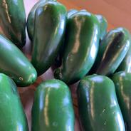旨辛生ハラペーニョ500g　香川県産 500ｇ 果物や野菜などのお取り寄せ宅配食材通販産地直送アウル