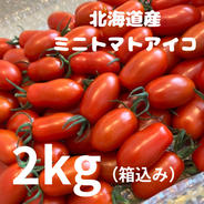北海道産ミニトマトアイコ2kg 2kg（箱込み） 果物や野菜などのお取り寄せ宅配食材通販産地直送アウル