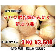 ジャンボにんにく　乾燥にんにく　訳ありA品3kg 3kg 果物や野菜などのお取り寄せ宅配食材通販産地直送アウル