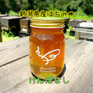 2024年新潟県産はちみつ けんぽなし500g 500g 果物や野菜などのお取り寄せ宅配食材通販産地直送アウル