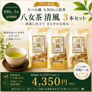 2026年新茶】家庭用八女茶100g×5本セット｜たつみ園 ｜ お茶/緑茶 産直