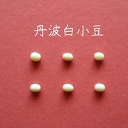 【 丹波白小豆 200g  2袋】（送料込）上品すぎる姿と味・・・純度100％の白餡は絶品です　　　農薬・化学肥料・畜産堆肥不使用 丹波白小豆　200g入り　2袋 果物や野菜などのお取り寄せ宅配食材通販産地直送アウル