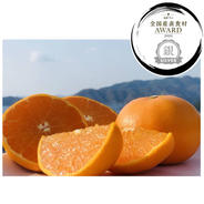 まどんな 家庭用5キロ（箱込み） ｜ 果物/オレンジ・その他みかん 産直