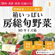 【関西・北陸・東海・信越へ配送の方】80サイズ箱いっぱい房総旬野菜詰め合わせ（80サイズ箱） 80サイズ箱いっぱい 果物や野菜などのお取り寄せ宅配食材通販産地直送アウル