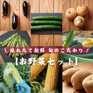 採れたて新鮮 ひげつきヤングコーン ｜ 野菜/とうもろこし 産直アウル