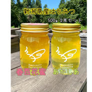あかしあ500g・春百花蜜500g2本セット 500g×2本 果物や野菜などのお取り寄せ宅配食材通販産地直送アウル
