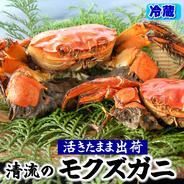 活モクズガニ　計３ｋｇ　オス・メス混ざり （ 約1ｋｇ×３）※大小混ざり【北海道、沖縄、離島配送不可】 活タイプ　計３ｋｇ【約1ｋｇ（5-10尾入）×３】オス・メス混ざり　※大小混ざり 果物や野菜などのお取り寄せ宅配食材通販産地直送アウル