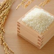 令和7年北海道産 農家直送ななつぼし ｜ 米・穀物/米/精米 産直アウル