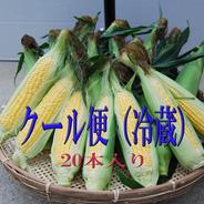 🌽【数量限定・2025年夏予約】 ゴールドラッシュ LLサイズ20本セット ゴールドラッシュ LLサイズ 20本入り  果物や野菜などのお取り寄せ宅配食材通販産地直送アウル
