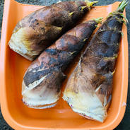 たけのこ熊本県産 4kg 果物や野菜などのお取り寄せ宅配食材通販産地直送アウル