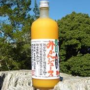 紅俺ん路みかんジュース 720㎖ 果物や野菜などのお取り寄せ宅配食材通販産地直送アウル