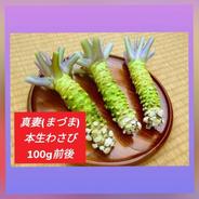 本生わさび(訳あり)【200g前後】お得,お試し,おまかせ ｜ 野菜/薬味