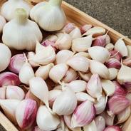 和歌山古座川産　生ニンニク　バラ500g　※ネコポス発送　農薬化学肥料不使用　　新にんにく バラ　500g 果物や野菜などのお取り寄せ宅配食材通販産地直送アウル
