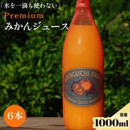 まどんな（愛媛果試28号） 平箱 家庭用 2024/12/15頃発送予定 ｜ 果物