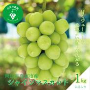 S-1 花笑み農園　岡山の『シャインマスカット』1kg（2房）【9/23～順次発送】 シャインマスカット約１ｋｇ（２房） 果物や野菜などのお取り寄せ宅配食材通販産地直送アウル