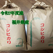 名水極味米 7年産在来コシヒカリ 発芽する元気な玄米10kg 特別栽培1
