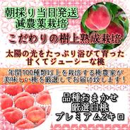 *朝採り当日発送*美味しくなるまで収穫しない！こだわりの樹上熟成栽培桃【厳選白桃おまかせコース】白桃2kg（品種おまかせ） 白桃2kg（品種おまかせ） 果物や野菜などのお取り寄せ宅配食材通販産地直送アウル