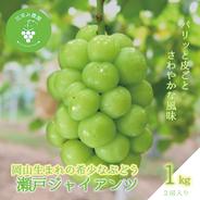 G-1　花笑み農園　岡山の『瀬戸ジャイアンツ』1kg（2房）【9月27日～順次発送】 1㎏ 果物や野菜などのお取り寄せ宅配食材通販産地直送アウル
