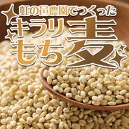 【香川県産 4kg】無農薬 もち麦(キラリモチ) 1kg×4袋 果物や野菜などのお取り寄せ宅配食材通販産地直送アウル