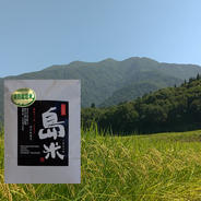 R3年産 特別栽培米 幻のコシヒカリ 最上流で最上級白米5k×2 5k×2袋 果物や野菜などのお取り寄せ宅配食材通販産地直送アウル