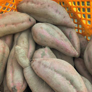 無農薬さつまいも（安納芋）3kg 3kg 果物や野菜などのお取り寄せ宅配食材通販産地直送アウル