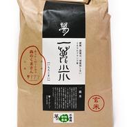 ★自然栽培米　玄米10kg　令和7年度　熊本県産　森のくまさん★ 森のくまさん玄米10キロ無肥料・無農薬栽培 ｜ 米・穀物/玄米 産直