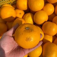 最終SALE【訳アリ・小玉】八朔 和歌山県産 4kg 4kg 果物や野菜などのお取り寄せ宅配食材通販産地直送アウル