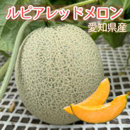 タカミメロン 4Lサイズ 3玉セット ｜ 果物/メロン 産直アウル 農家