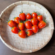 ミニトマト　無農薬 ミニトマト　100g 果物や野菜などのお取り寄せ宅配食材通販産地直送アウル