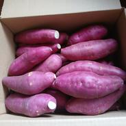 熟成 ふくむらさき 約20キロ サイズバラバラ 福紫 さつまいも 芋