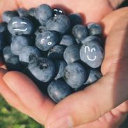 【完全自然栽培】生ブルーベリー 1kg（無洗浄・ブルーム付き）クール便 ブルーベリー1kg 果物や野菜などのお取り寄せ宅配食材通販産地直送アウル