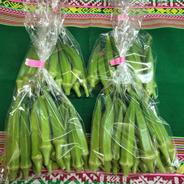 オクラ120本　発送タイミングおまかせ オクラ120本 果物や野菜などのお取り寄せ宅配食材通販産地直送アウル