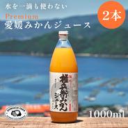 【水を一滴も使わない】愛媛みかん100％ストレートジュース（1000ml×2本） みかんジュース 1000×2本 果物や野菜などのお取り寄せ宅配食材通販産地直送アウル