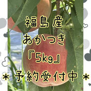 福島県産 もも 『あかつき又はまどか』常温発送 もも 果物や野菜などのお取り寄せ宅配食材通販産地直送アウル