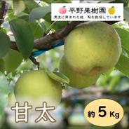 清流球磨梨・甘太　5kg箱(5〜14個入り) 約5kg 果物や野菜などのお取り寄せ宅配食材通販産地直送アウル