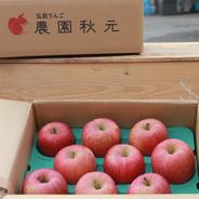 葉とらずふじ家庭用5キロ(つる割れ・しぶ) 5kg(16玉入～20玉入) 果物や野菜などのお取り寄せ宅配食材通販産地直送アウル