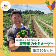 【山武ブランド】夏野菜のセミオーダー✨ゴールドラッシュシリーズ🌽&今が食べ頃！新鮮野菜セット 80サイズの段ボール 果物や野菜などのお取り寄せ宅配食材通販産地直送アウル