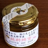 2024年産[巣箱2、4]和歌山 古座川産 日本みつばちの蜜600g(300g×2)ーー