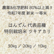 収穫から3日~7日以内の【 生きたお米 】農薬&化学肥料80%以上大幅減 収穫から3日~7日以内の【 生きたお米 】農薬&化学肥料80%以上大幅減