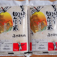 8月上旬から中旬発送　新米　令和7年産　ふさおとめ　無洗米　10kg 5kg×2 果物や野菜などのお取り寄せ宅配食材通販産地直送アウル