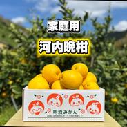🍊柑橘の大トロ🍊せとか3.0kg ｜ 果物/オレンジ・その他みかん 産直